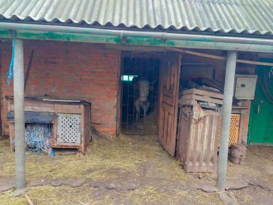  ���� ������� ����� ������� 