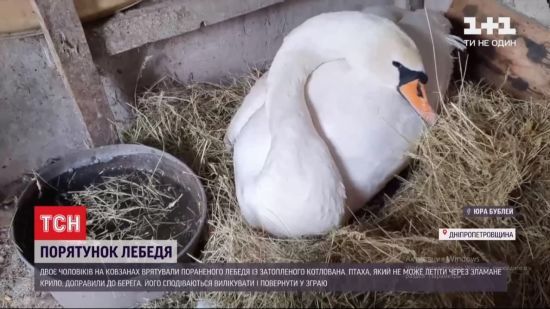  �������� ������� ������� �������� ������ ������ ��������� ������ 