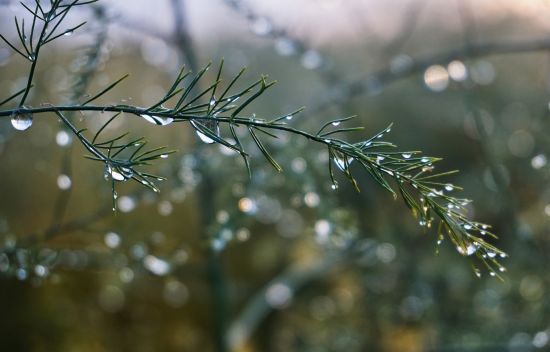  ������ �������� ������� ���������� ������� ����������� �������� ������� 