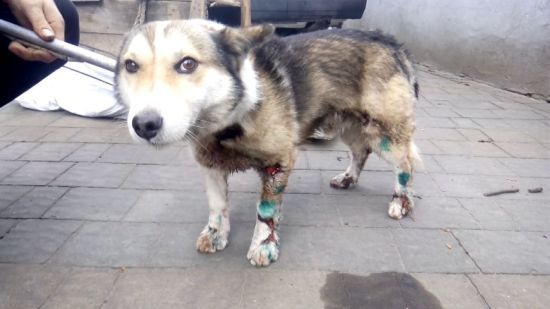  ����� �������� �������� ������ ������� ������������ 