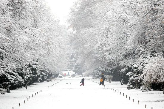  �������� ���� ����� ������� ����� ����������� ������ ���� 