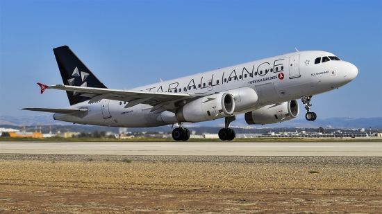  ������� ������ ������ ���� �������� 