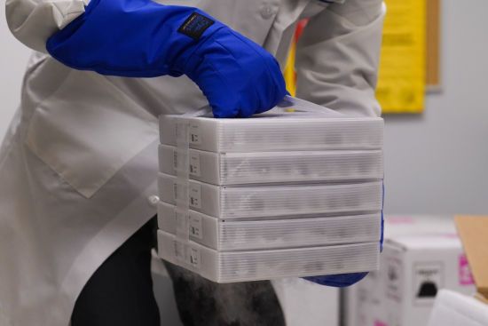  �������� ����� ������� ������� ���������� ���� ���������� ������� 