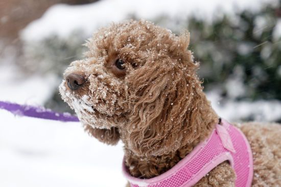  ������� ������� ������� �������� ��������� �������� ���������� ������ 