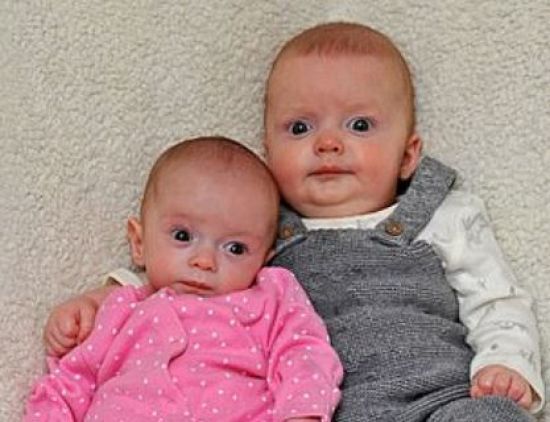  �������� ������ ������������ �������� ������ 