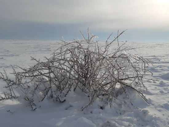  ������ ������ ������ �������� ������� ���������� ���������� ������� 