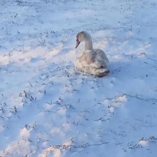  ���� ������� ������� �������� ������ 