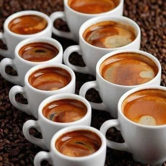  ����� ������� ������ ���� ������ ������������ ������������ ������ 