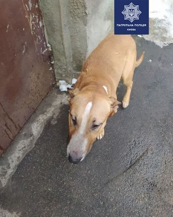  ����� ����� ������ 