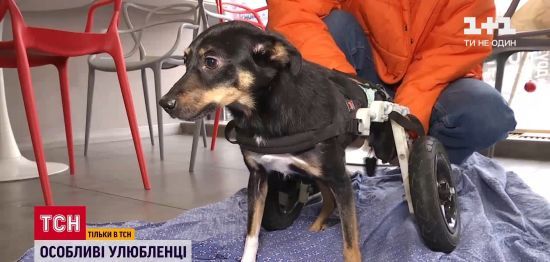  ����� ������� �������� �������� ����� 