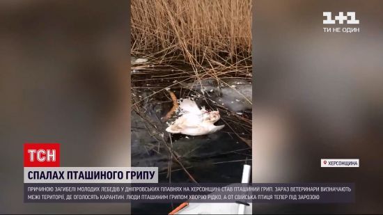  ���������� ������� ���������� 