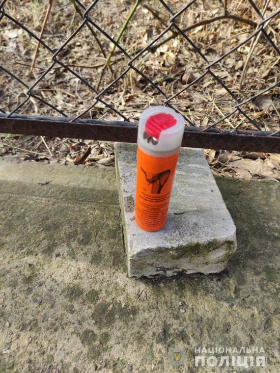  �������� ��������� ���������� ����������� ������������� ������������ ���������� 