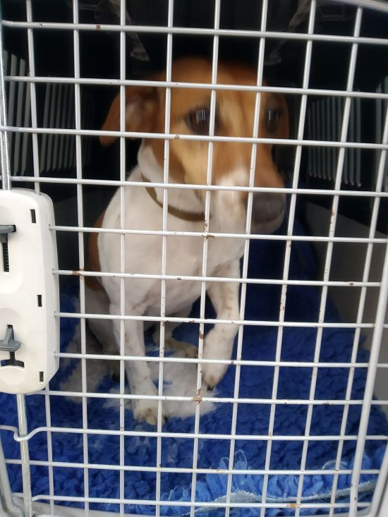 ����: ru.tsn.ua