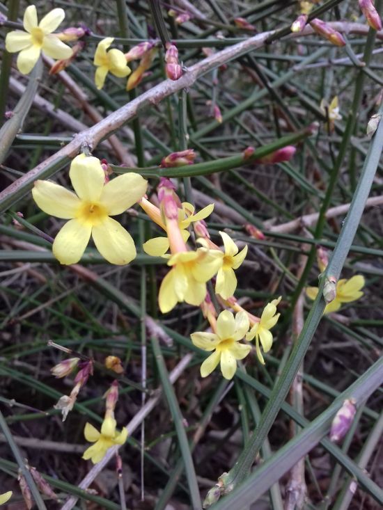 ����: ru.tsn.ua