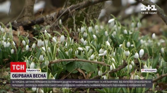  ����������� ��������� ��������� 