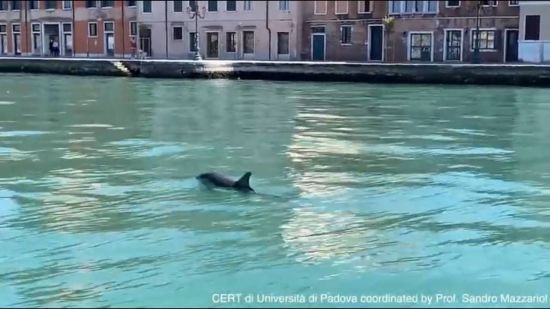 ����: ru.tsn.ua