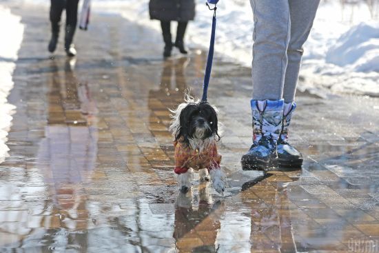  ���� ������� ������������ ����������� �������� ��������� ����������� ������ 