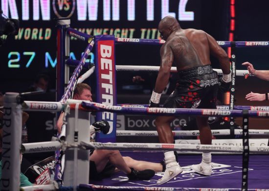  ���� �������� ��������� �������� ������ ������ ���� ���������� 