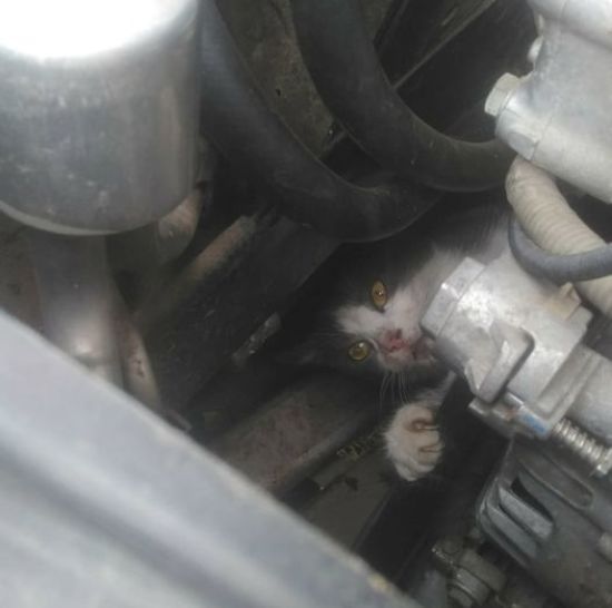  ���� ���� �������� ���������� �������������� ���� �����-����������� ������ 