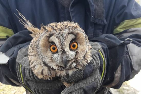  ����� ������� ������ �������� ������������� ������ �������� ������� 