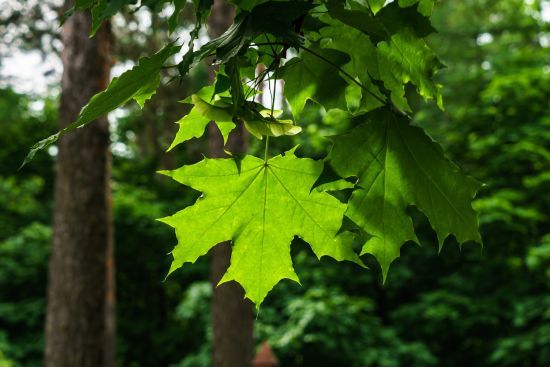 ����: ru.tsn.ua