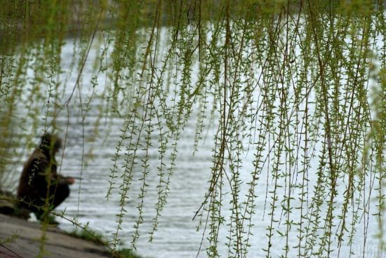  ���� ������ ����� ������� ����� �������� �������� 