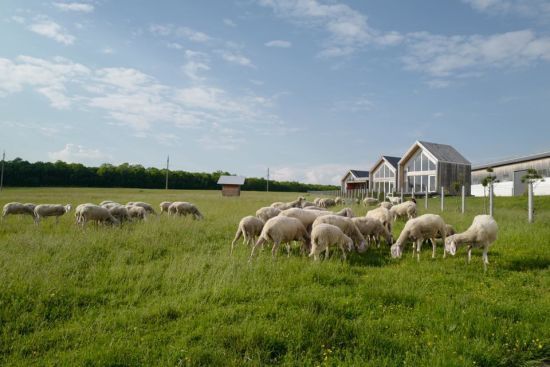  ����� ������ ���� ������� zaluzhany �������� ��������� 