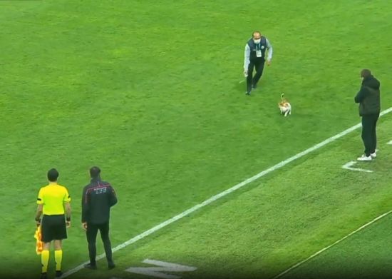  ���� �������� ��� �������� ���������� ���� ������ ������� 