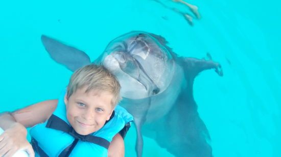  �������� ���� �������� �������� ������� 