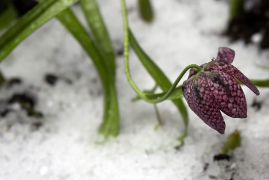  ��������� ����������� ����� ������ ���� 