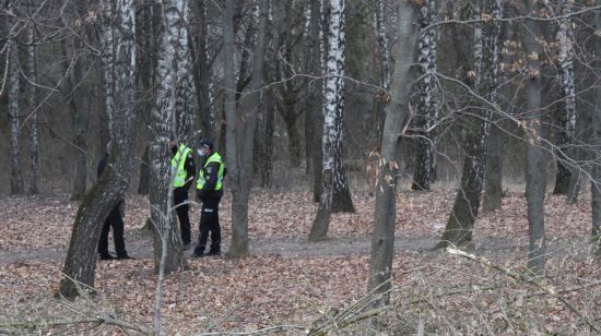  ���� ������ ����� 