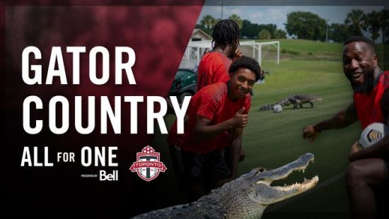  ����������� ������� ��������� ���� �������� ���������� ������� ����������� 