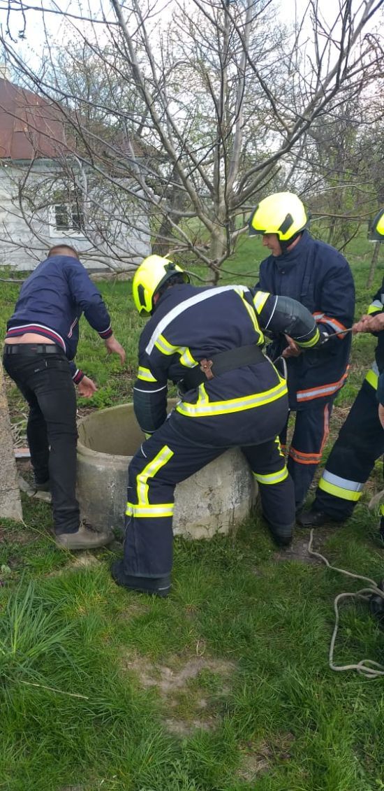  ������� ����� ������� 