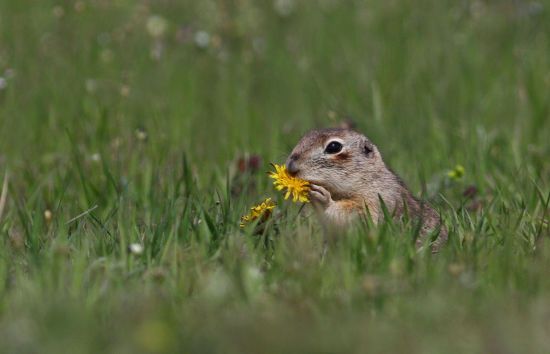  ���� ���������� ���������� ������ ����� ������� �������� �������� 