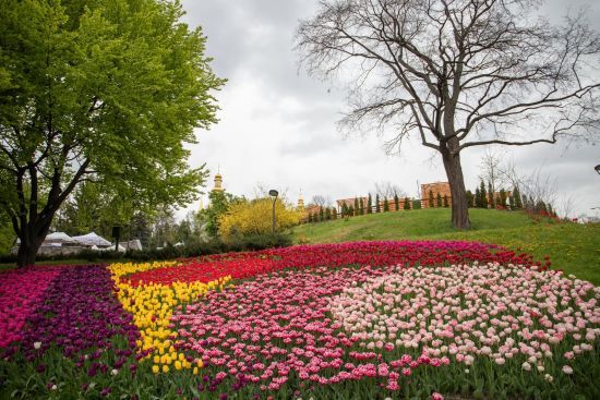  ������ ������� �������� ���������� ��������� ��� ���������� ������� 