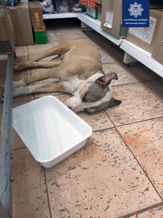  ������� ������� ������� 