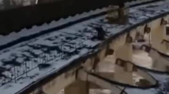  ���� ������������� ��������� �������� ������ �������� ����� �������� 