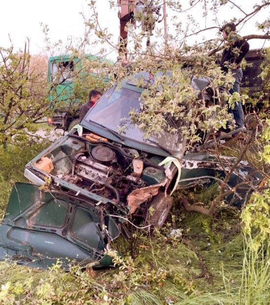  ���������� ����� ������ ���� �����-����������� ������� ��������� ���� 