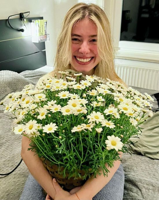  ����� ����������� ����� 