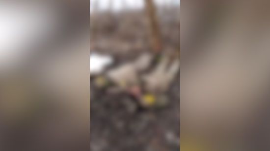  ������ ���������� ����������� ��������� �������� ��� ������� 