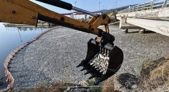  ���� �������� ������ ��� ����������� ����� ������ ���� 