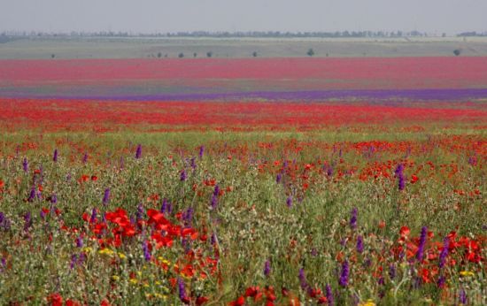 ����: ru.tsn.ua