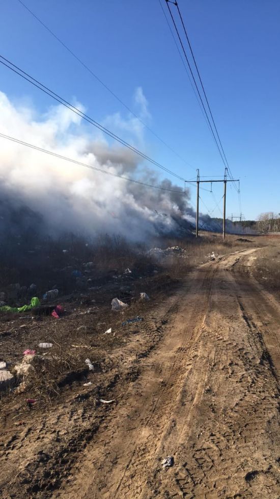  ������ ���� ����� ������� 