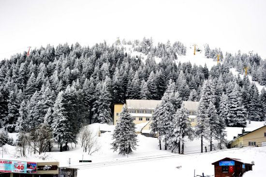 ����: ru.tsn.ua