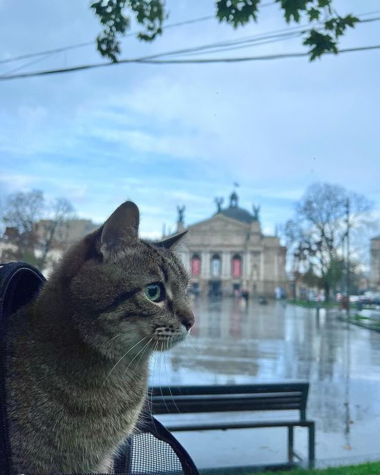  ������ ��� ������� �������� ������� ���� 