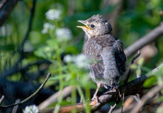  �������� ���� ����� ����� 