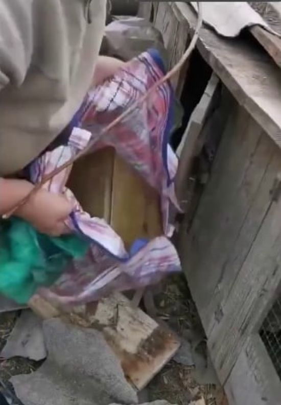  ������� ����� ���������� ������� ���������� �������� 