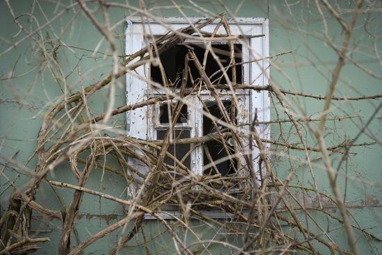  ���������� ������� ������� �������� ���� ������� 