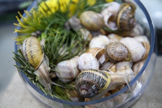  ������ ���� ���� ���� ������ ������ ������ ��������� 