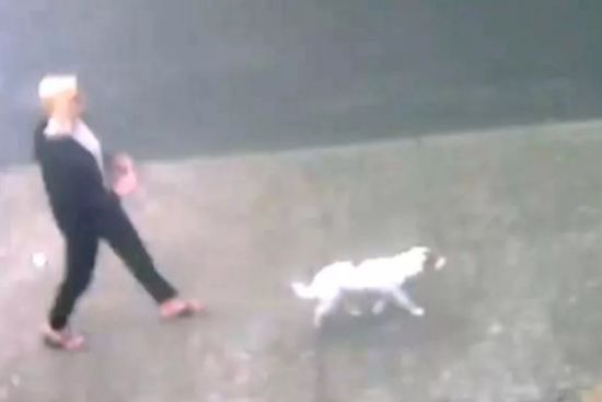  ���� ������� ����� ���� 